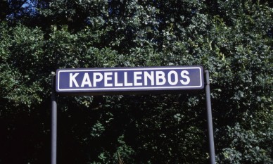 KAPELLENBOS - 06-08-1993 - TH.jpg